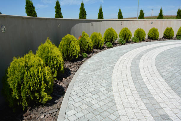 Best Paver Driveway Replacement  in Georgetown, IN
